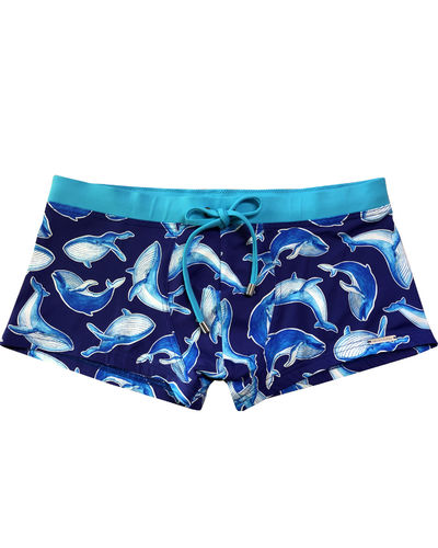 Wasserstoff: Pant Whales 46349
